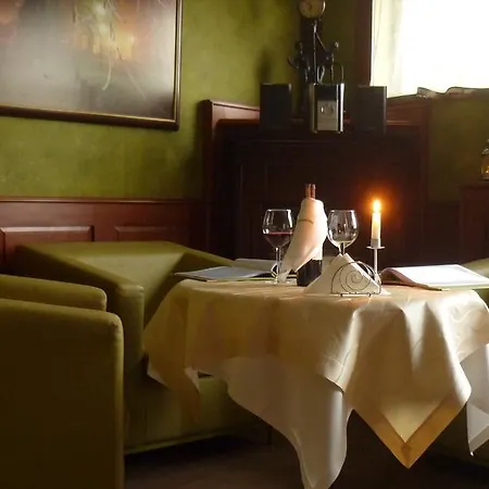 Hotel Pod Wierzba 3*