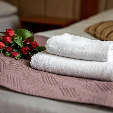 Hotel Pod Wierzba 3*