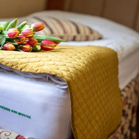 Pod Wierzba Hotel