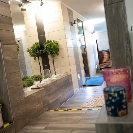 Pod Wierzba Hotel 3*