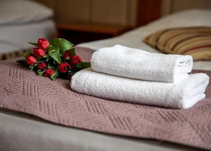 Hotel Pod Wierzba 3*